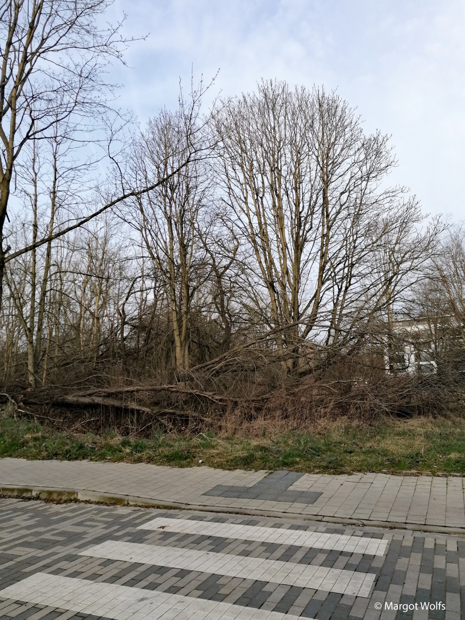 Brussels 2022